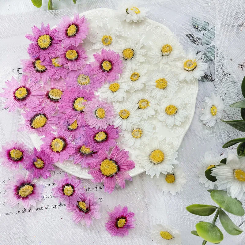 Dried Flower Bookmark - Marcapáginas de flores prensadas naturales, decoración