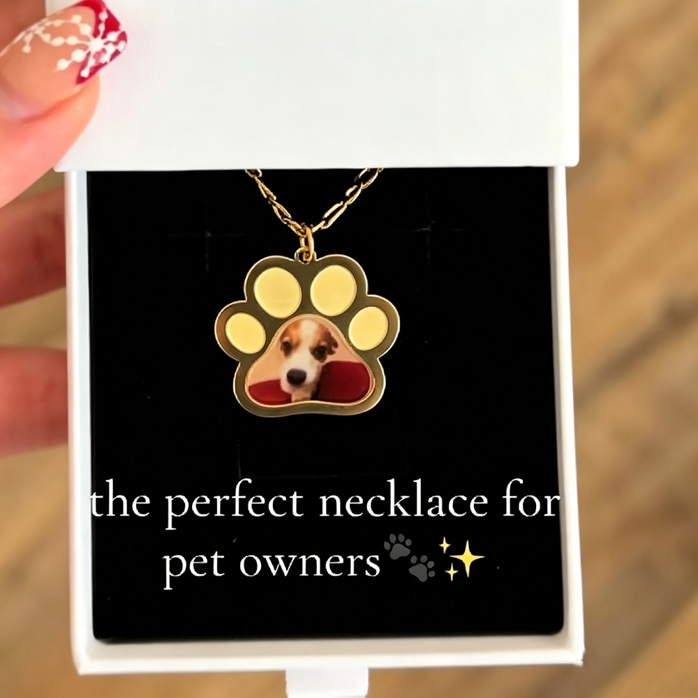 Collar personalizado con color - Pet Portrait Custom reseña y precio