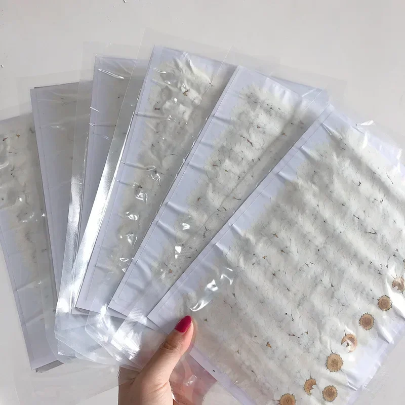 60X flores de paludosum de cri - Dried Flower Bookmark reseña y precio