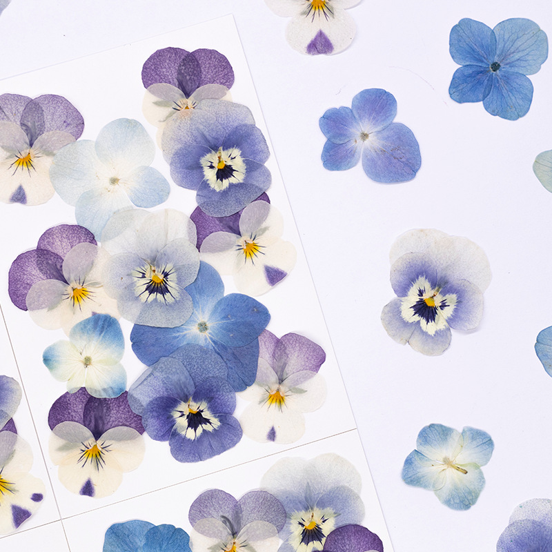 12 Piezas de Flores Secas de V - Dried Flower Bookmark reseña y precio