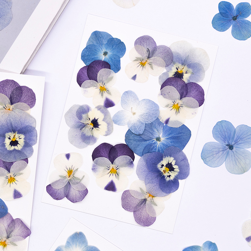 12 Piezas de Flores Secas de V - Dried Flower Bookmark reseña y precio