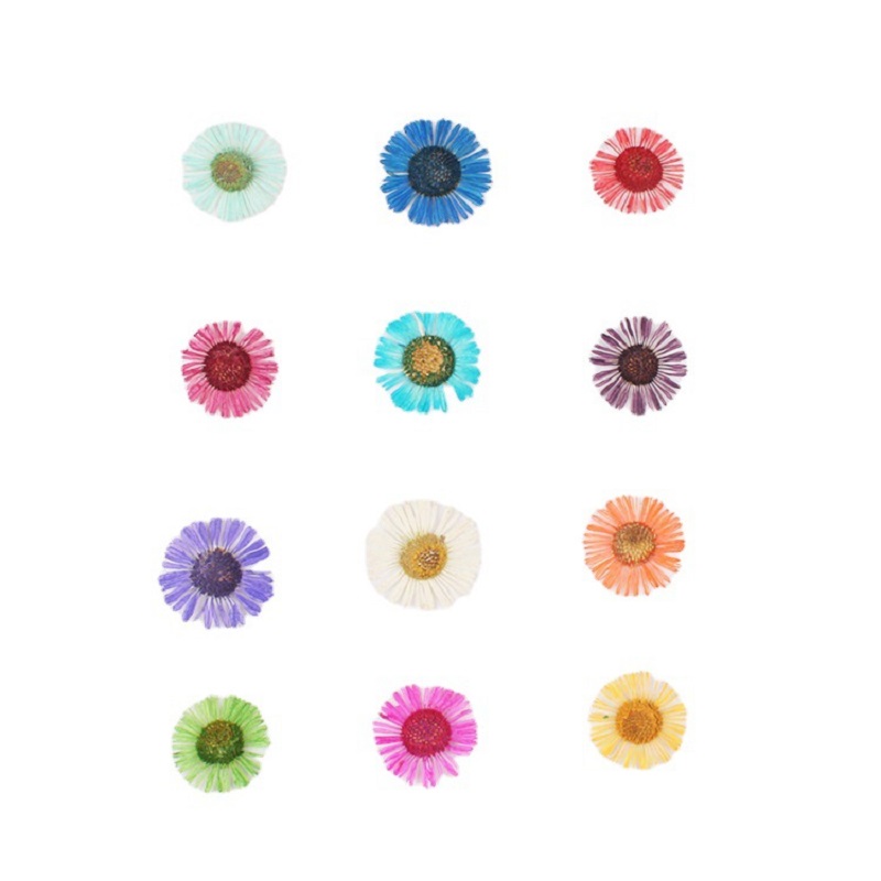 1 Set de Flores Secas Prensada - Dried Flower Bookmark reseña y precio