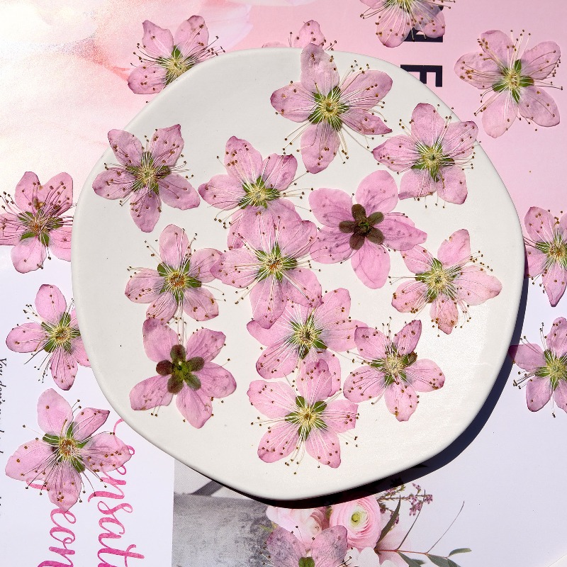 Flores Secas Prensadas de Flor - Dried Flower Bookmark reseña y precio