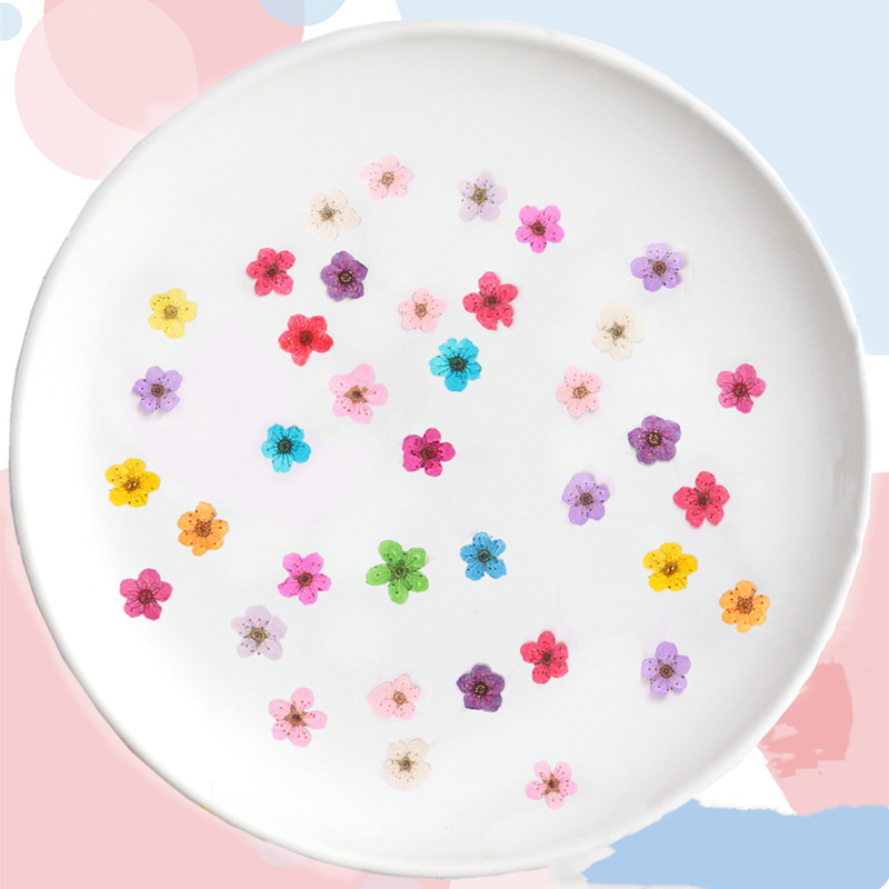 60 uds Mini narciso seco prens - Dried Flower Bookmark reseña y precio