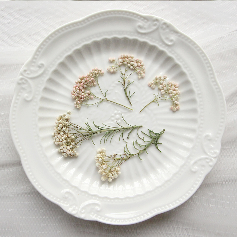 12 piezas, Ramas de flor de mi - Dried Flower Bookmark reseña y precio