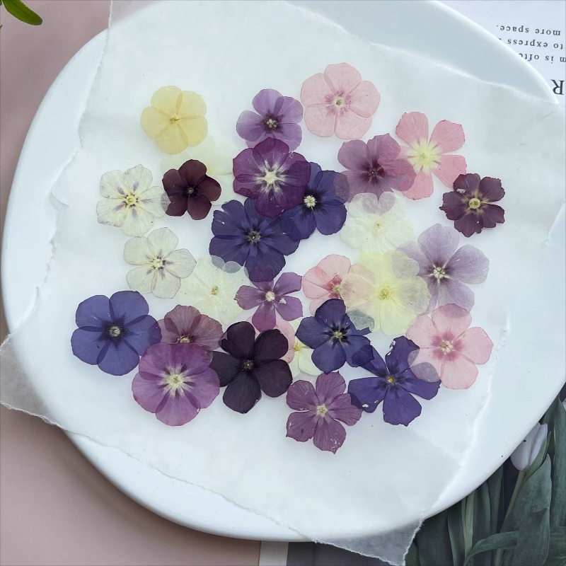 12 Uds., flores secas prensada - Dried Flower Bookmark reseña y precio